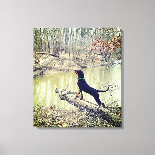 Caça-casulos na canvas do rio (Frente)