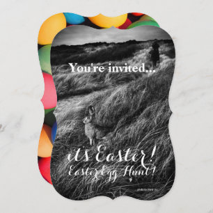 Caça de Ovo de Páscoa de Festa de Convite Personal