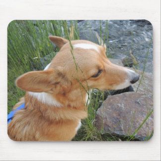 Caçador feericamente Mousepad do Corgi