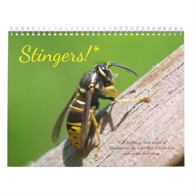 Caçadores! Um calendário de Abelhas e Vassouras (Capa)