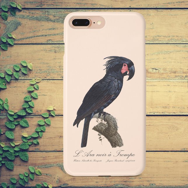 Cacatua-de-bico-longo, Probosciger aterrimus papag (L' Ara Noir a Trompe / Palm Cockatoo. iPhone Case)