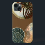 Cacau<br><div class="desc">Obtenha esta única imagem de concha vermelha e azul gravada em pedra no seu próximo produto. Este incrível fundo de cacau nestas duas conchas únicas. Leve a praia com você para onde quer que vá.</div>