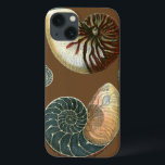 Cacau<br><div class="desc">Obtenha esta imagem exclusiva de concha azul e vermelha de pedra no seu próximo produto. Este incrível fundo de cacau nestas duas conchas únicas. Leve a praia com você para onde quer que vá.</div>