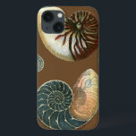 Cacau<br><div class="desc">Obtenha esta única imagem de concha vermelha e azul gravada em pedra no seu próximo produto. Este incrível fundo de cacau nestas duas conchas únicas. Leve a praia com você para onde quer que vá.</div>