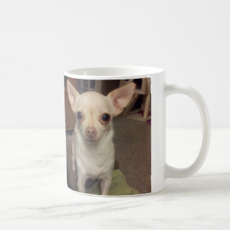 Cacau a caneca da chihuahua