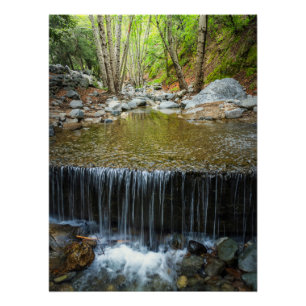 Cachoeira da Floresta – Impressão de Córrego de Mo
