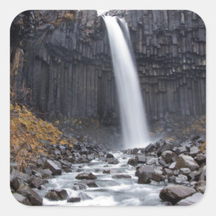 Cachoeira de Svartifoss na etiqueta de Islândia
