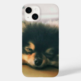 cachorrinho fofo