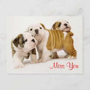 Cachorrinhos Bulldog Te Amo Cartão Postal