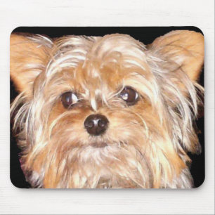 Cachorro 4, Mouse Pad