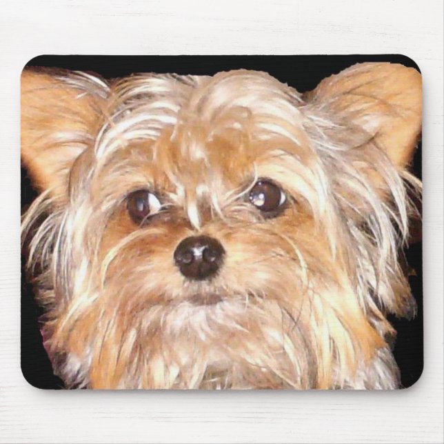 Cachorro 4, Mouse Pad (Frente)