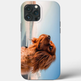 Cachorro Adorável Olhando com Fundo de Céu Azul