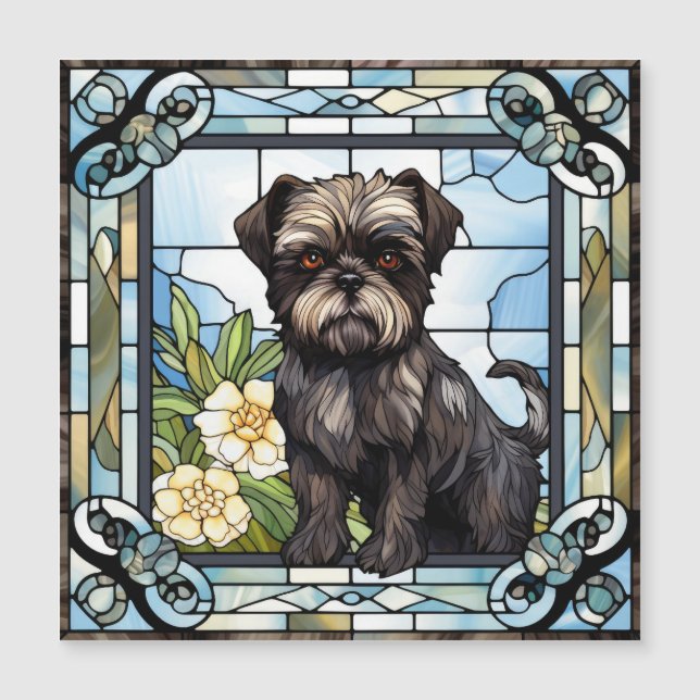 Cachorro Affenpinscher (Frente)