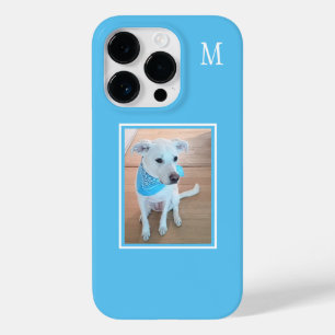 Cachorro Azul do Bebê Sobre Um Solteiro de Fotogra