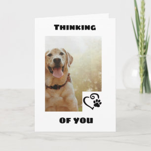 *CACHORRO BONITO DIZ TER UM CARTÃO DE ANIVERSÁRI