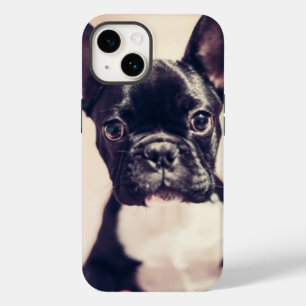 Cachorro branco e preto