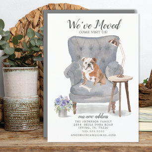 Cachorro Buldogue Inglês   Anúncio de mudança