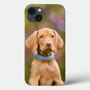 Cachorro-Cachorro-Cachorro Húngaro, Cute-ppyeyed