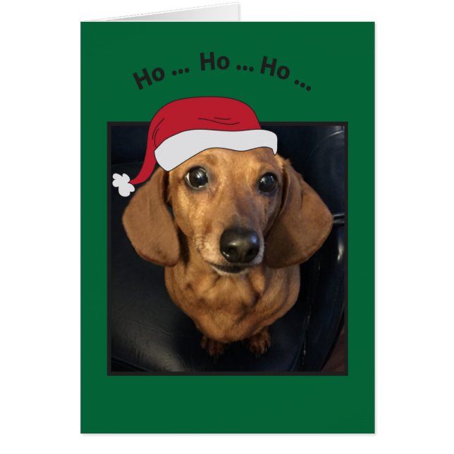 Cachorro Cachorro Ho Ho Ho Cartão de Natal (Frente)