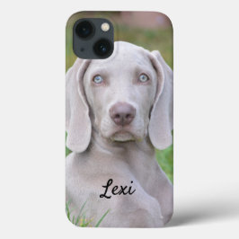 Cachorro-Cachorro Personalizado do Weimaraner