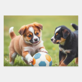 Cachorro / Cãozinho