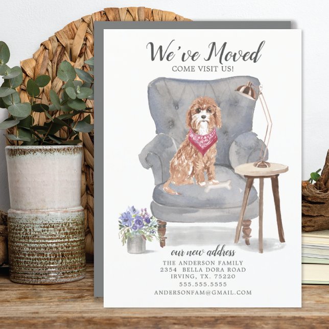 Cachorro Cavapoo | Anúncio de mudança (Criador carregado)