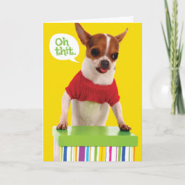 Cachorro Chihuahu Engraçado Com Lisp Belo Cartão d