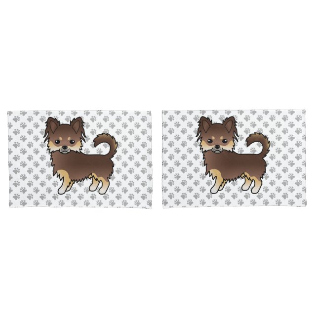 Cachorro Chihuahua de Capa Longa de Chocolate e Be (Frente - conjunto)
