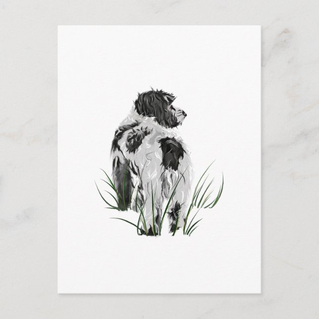 Cachorro Cockapoo, Cartão Postal de Aquarela (Frente)