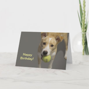 Cachorro Com Cartão De Aniversário De Bola De Têni