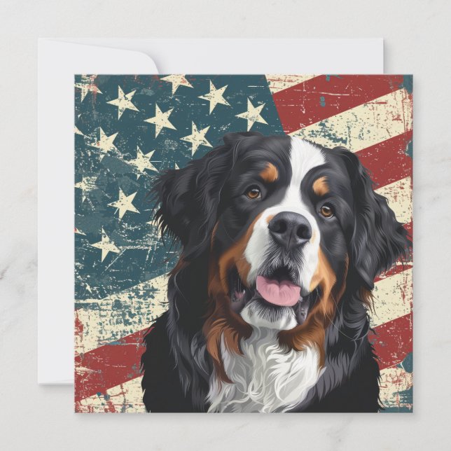 Cachorro da Montanha Bernesa Bandeira Americana Gr (Frente)