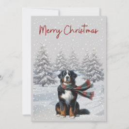 Cachorro da Montanha Bernese no cartão de Natal da