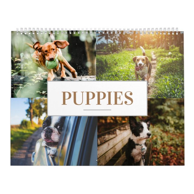 Cachorro da Parede Inicial do Calendário Puppy (Capa)
