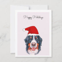Cachorro de Bernese com Cartão de Papai Noel