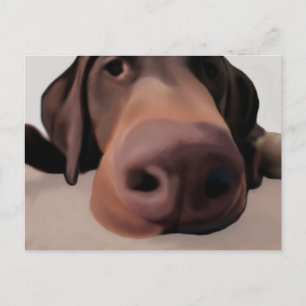 Cachorro de Cartão Postal Nariz Grande Pintado