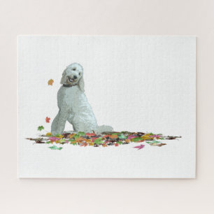 Cachorro De Labradoodle Em Folhas De Quebra-cabeça