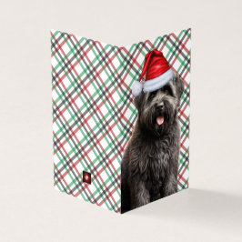Cachorro de Natal Bouvier com Xadrez de Natal