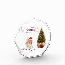 Cachorro de Natal Engraçado Pomeraniano com Árvore