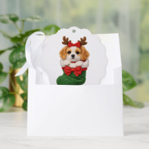 Cachorro de Natal Tricope de Inverno