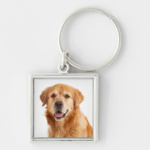 Cachorro de Ouro Retriever Chaveiro do Cachorrinho