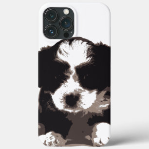Cachorro de porco preto e branco maltês