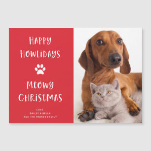 Cachorro e Gato Engraçado com Foto   Feriado de Na
