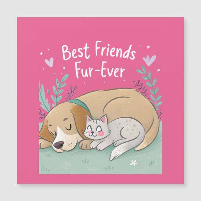 Cachorro e Gato Melhores Amigos Para Sempre (Frente)