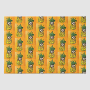 Cachorro e Papel Tecido do Abacaxi