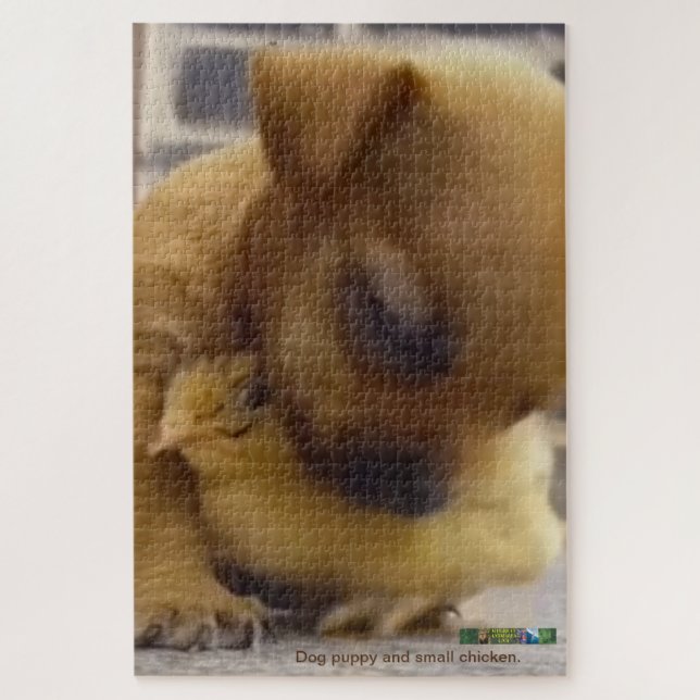 Cachorro e quebra-cabeça de galinha. (Vertical)