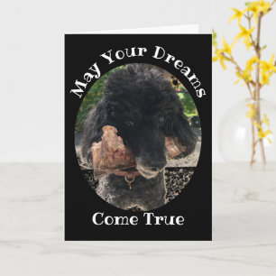 Cachorro Engraçado com Cartão de Aniversário Osso