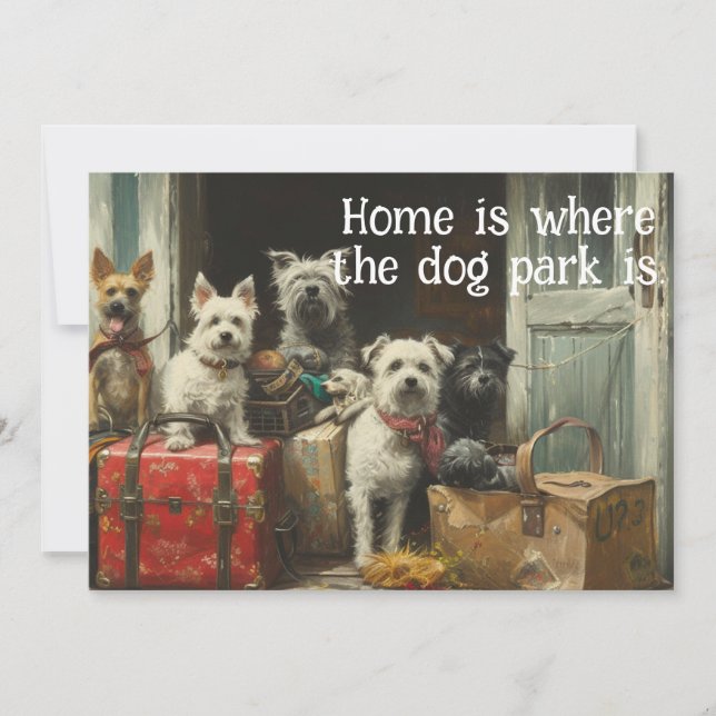 Cachorro Engraçado Movendo Novo Anúncio de Endereç (Frente)