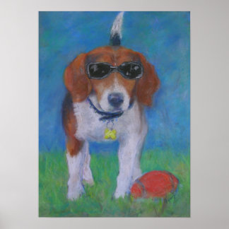 Cachorro Esparvo: Olhando poster Legal