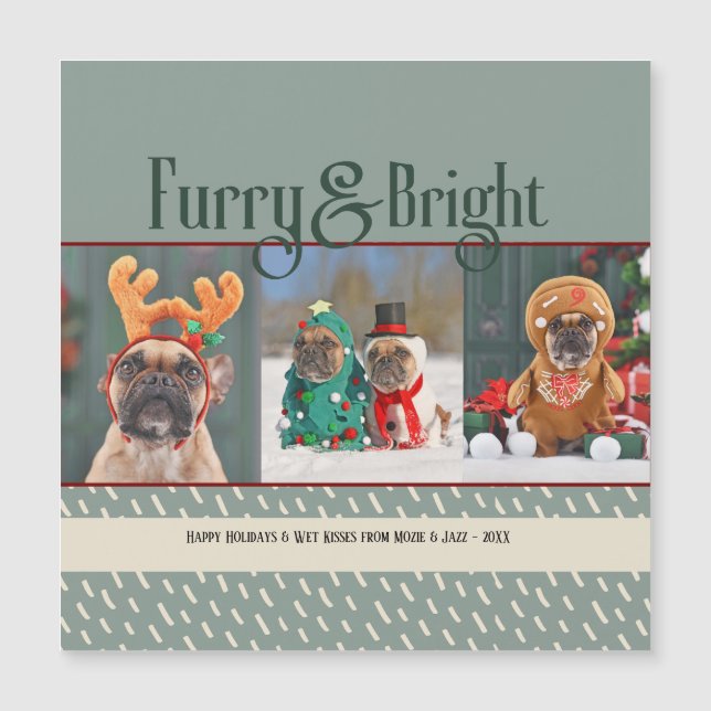 Cachorro Felpudo e Radiante Cartão Postal de Natal (Frente)