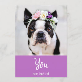 *~* Cachorro francês Bulldog fofo  Convite para ev